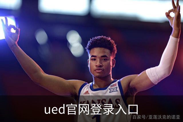 ued官网登录入口公司介绍图